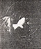 Heilige, 1894